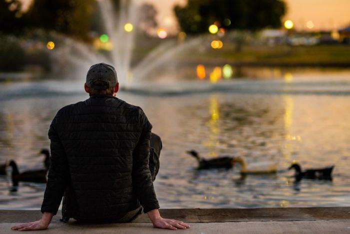 A silhouetted student sits overlooking ducks on a pond.